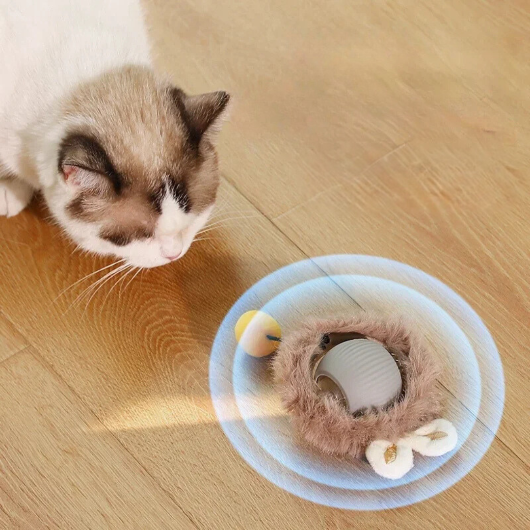 Cat Toy | Interactive Cat Toys-Cat Toy-Homefinn