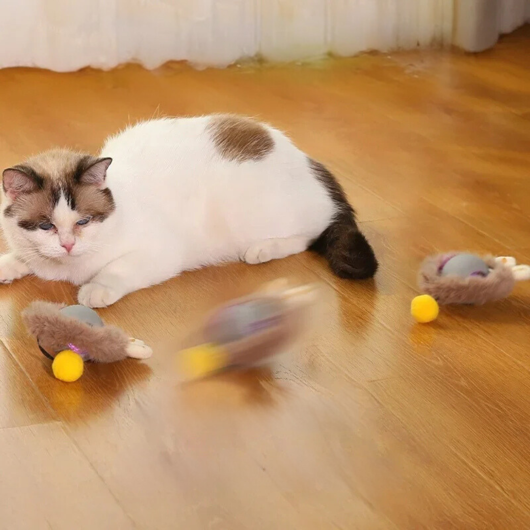 Cat Toy | Interactive Cat Toys-Cat Toy-Homefinn