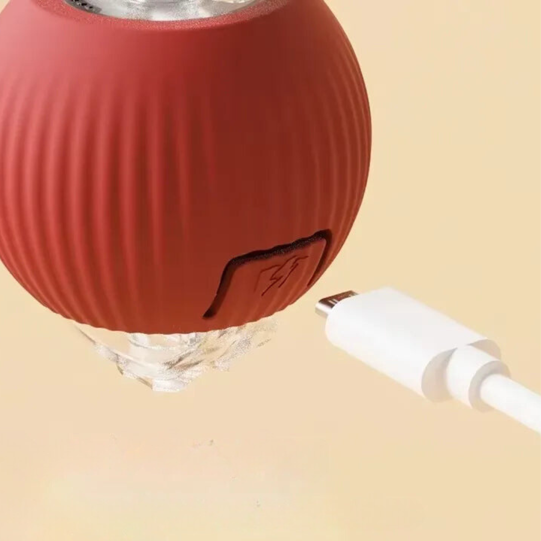 Cat Toy | Interactive Cat Toys-Cat Toy-Homefinn