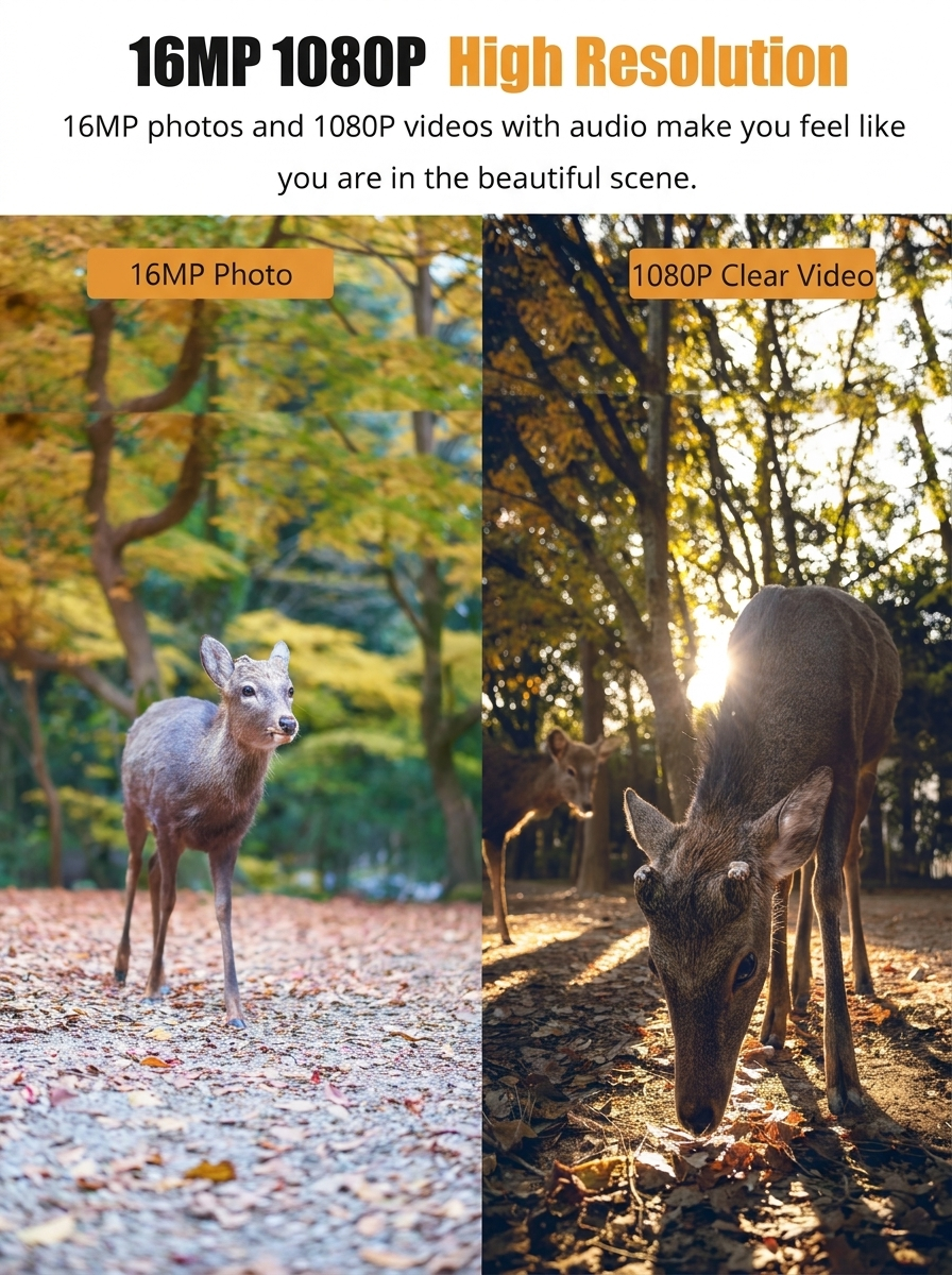 Trail Camera | Night Vision Wildlife Camera • Homefinn