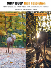Trail Camera | Night Vision Wildlife Camera • Homefinn