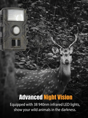 Trail Camera | Night Vision Wildlife Camera • Homefinn