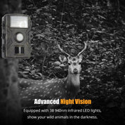 Trail Camera | Night Vision Wildlife Camera-Camera-Homefinn